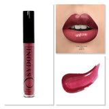 BEST SELLING! LUSTRE VINYL FINISH HIGH SHINE LIPGLOSS 4g. (15 SHADES)