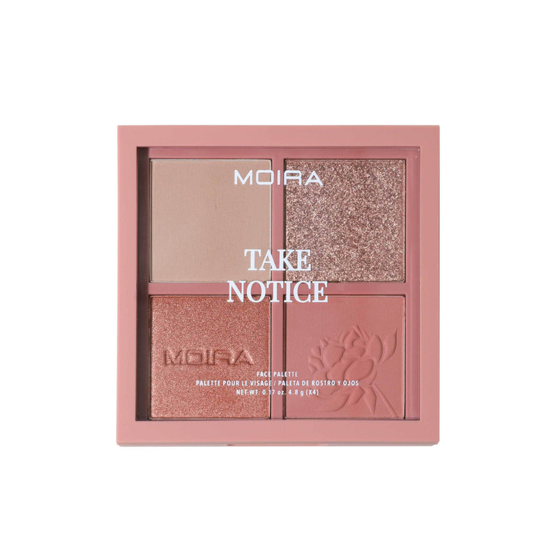 Take Notice Face Palette